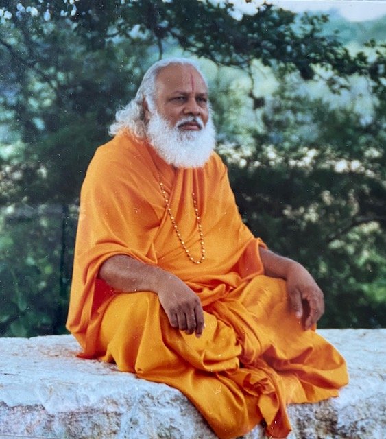 Swami Prakashanand Saraswati Q&A: Confidence, Meditation, and Silence