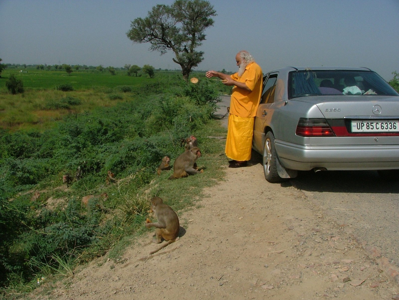 Swami Prakashanand Saraswati